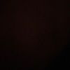 sheianne_2020